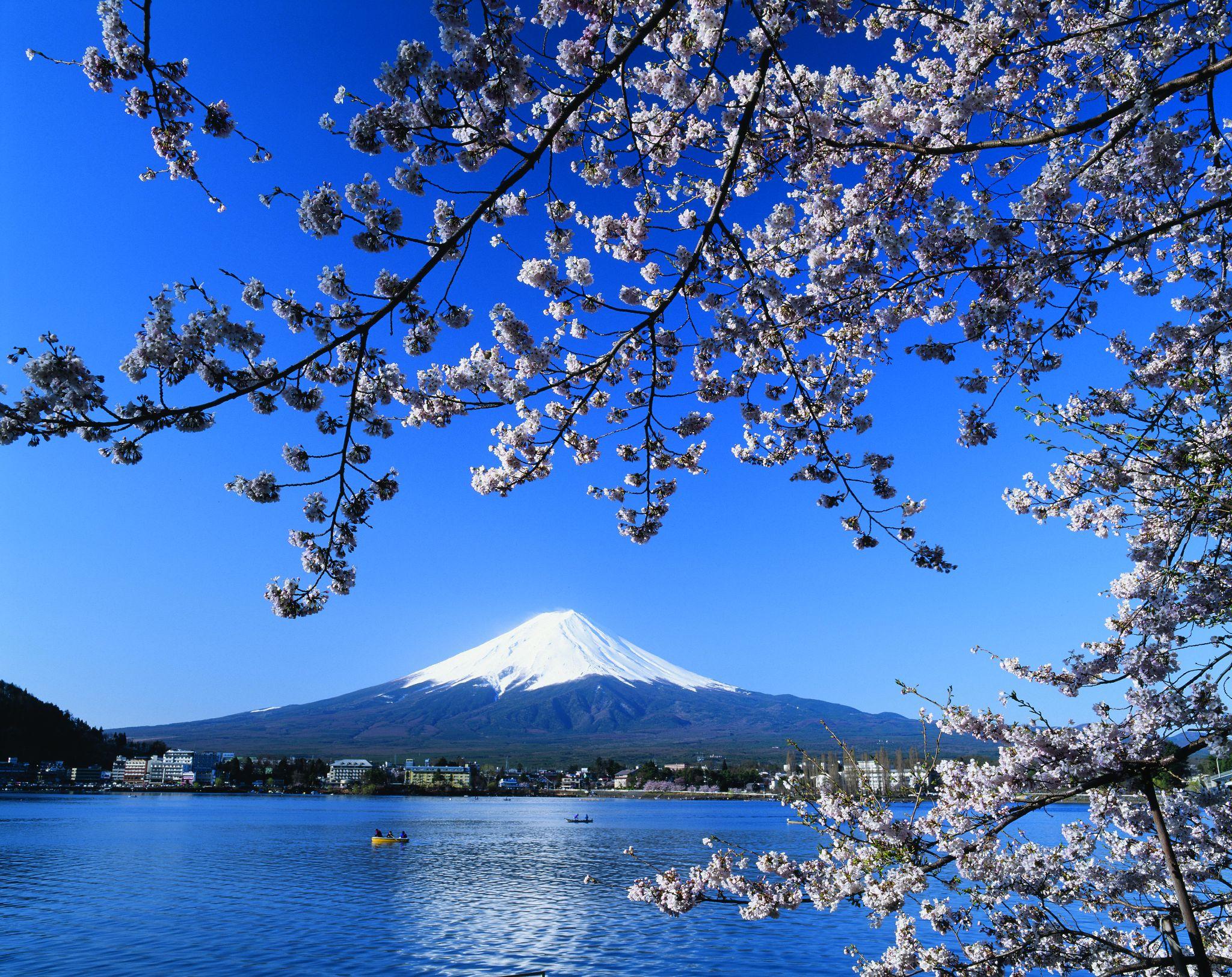 Mount Fuji 